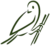 Unique Beak Bird Outline