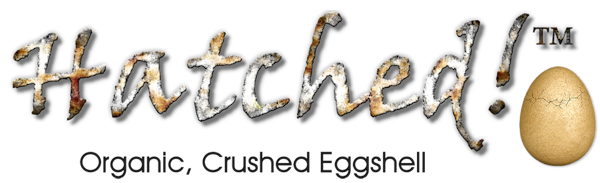 Hatched! Eggshell ...